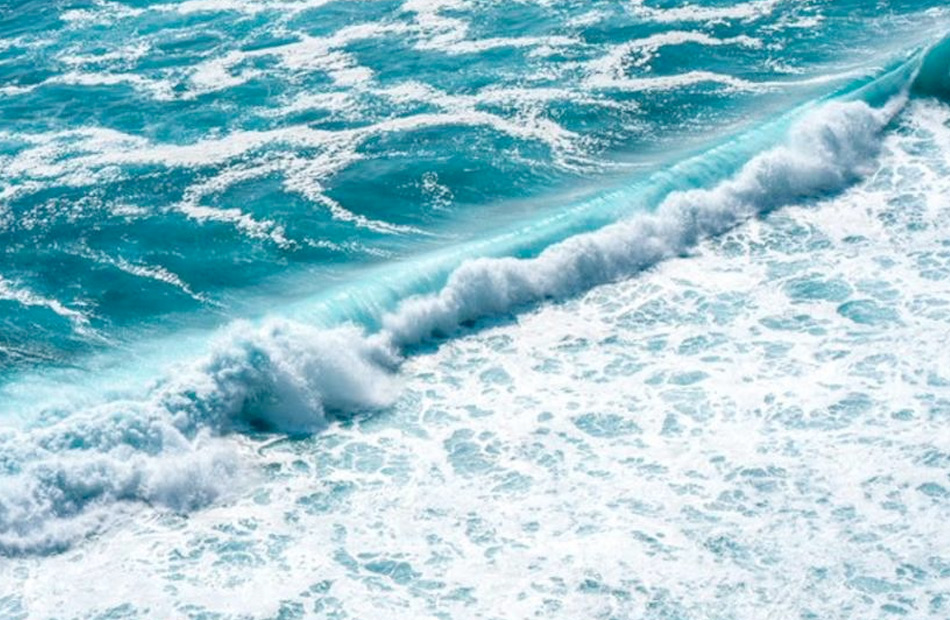 وزيرا الكهرباء والبيئة يفتتحان المنتدى العربي السادس لإزالة ملوحة مياه البحر بالطاقة النووية