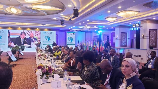 الاجتماع  الوزاري للتعاون الأفريقي