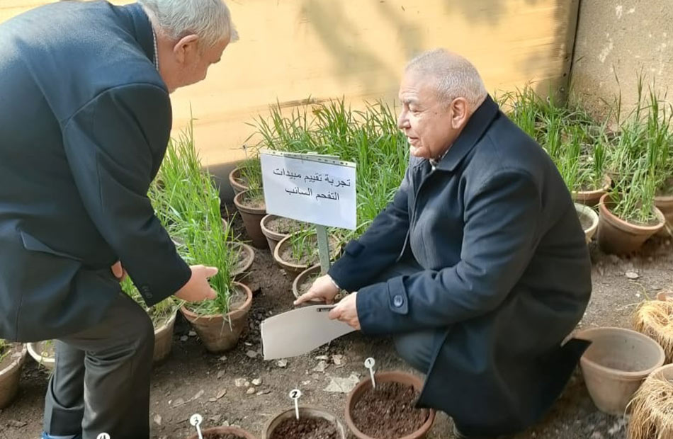 أنشطة معهد أمراض النباتات خلال يناير الماضي | صور