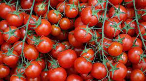 أمين عام الفلاحين يتوقع;انخفاض;أسعار الطماطم إلى  جنيهات خلال أيام