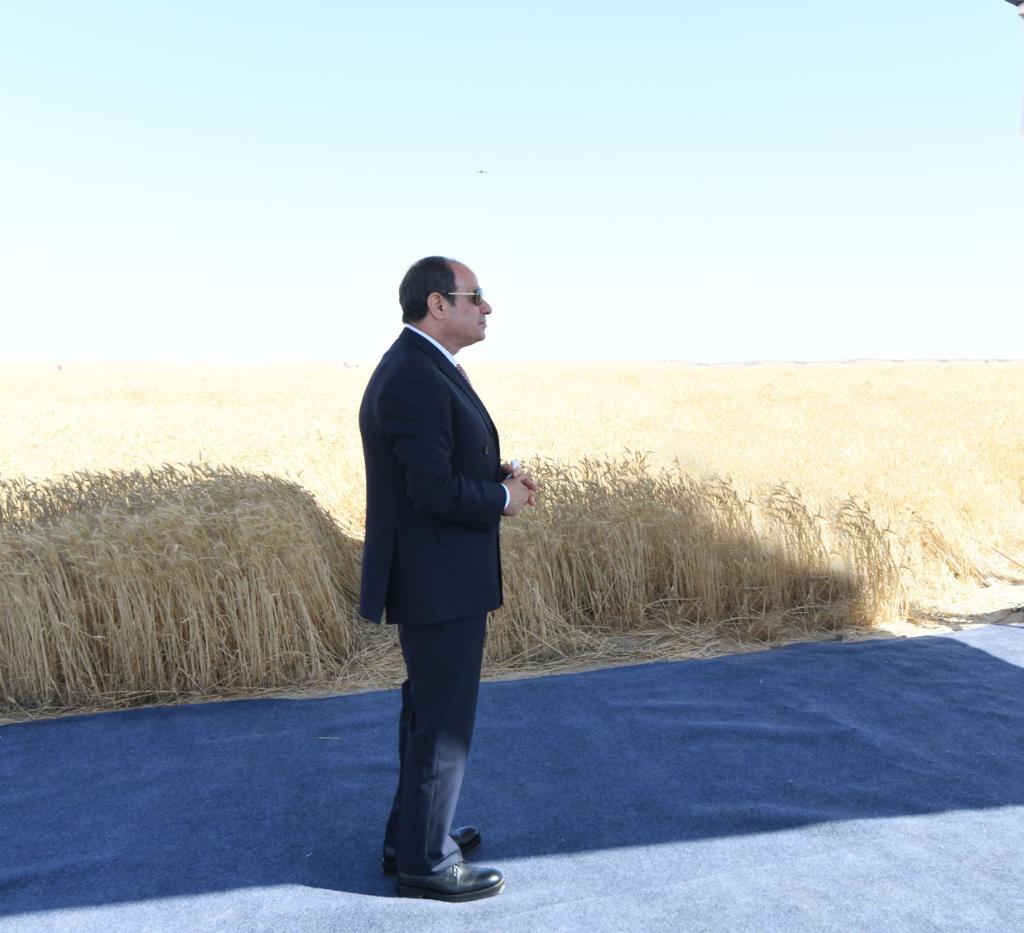  تفقد الرئيس منطقة توشكى بجنوب الوادى وموسم حصاد القمح