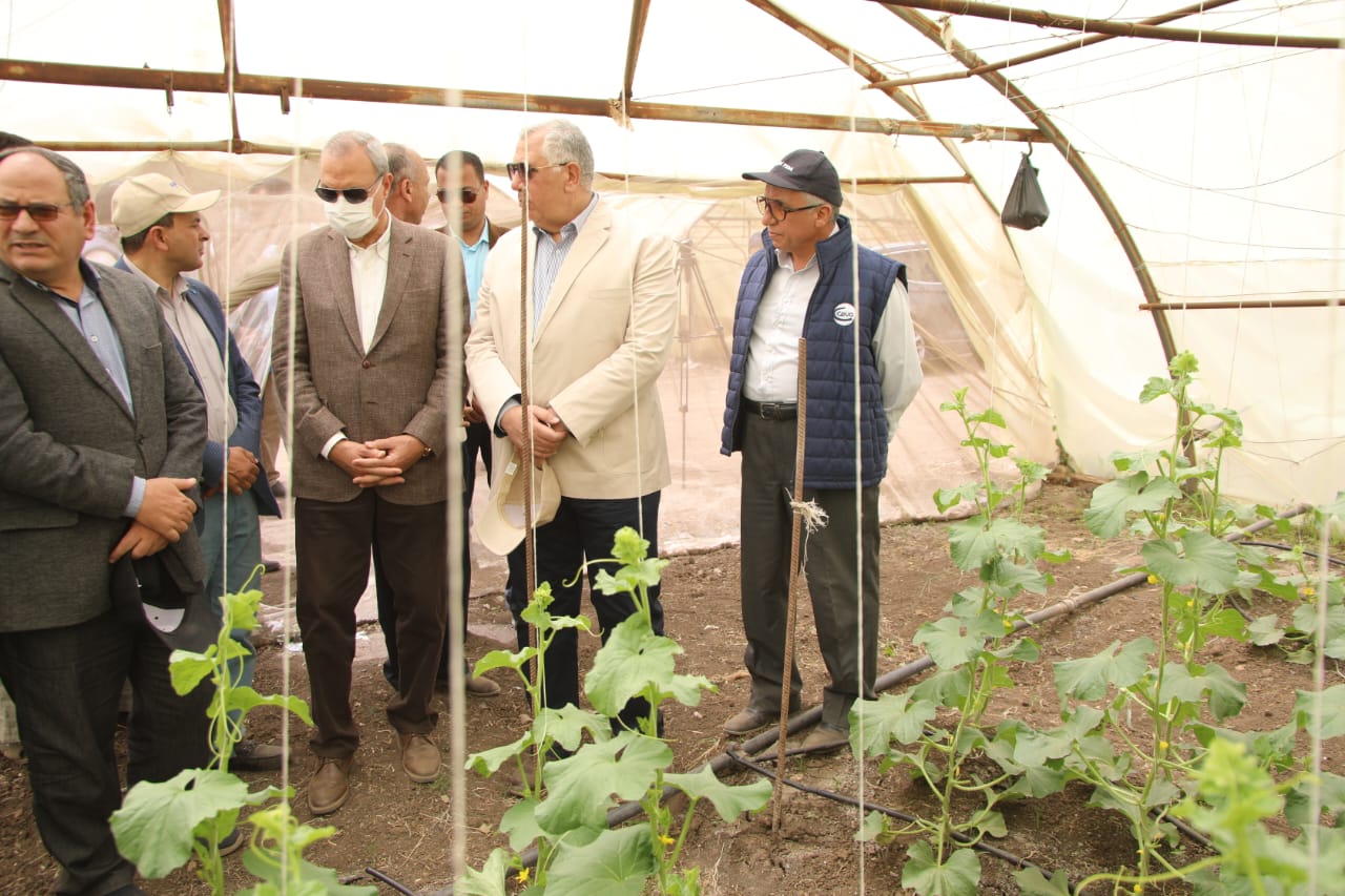 وزير الزراعة ومحافظ القليوبية يتفقدان صوب المشروع القومي لإنتاج التقاوي بمدينة قها 