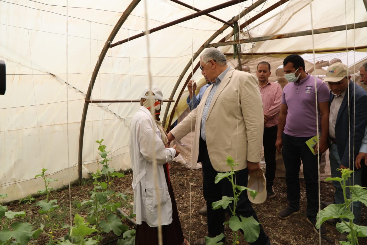 وزير الزراعة ومحافظ القليوبية يتفقدان صوب المشروع القومي لإنتاج التقاوي بمدينة قها