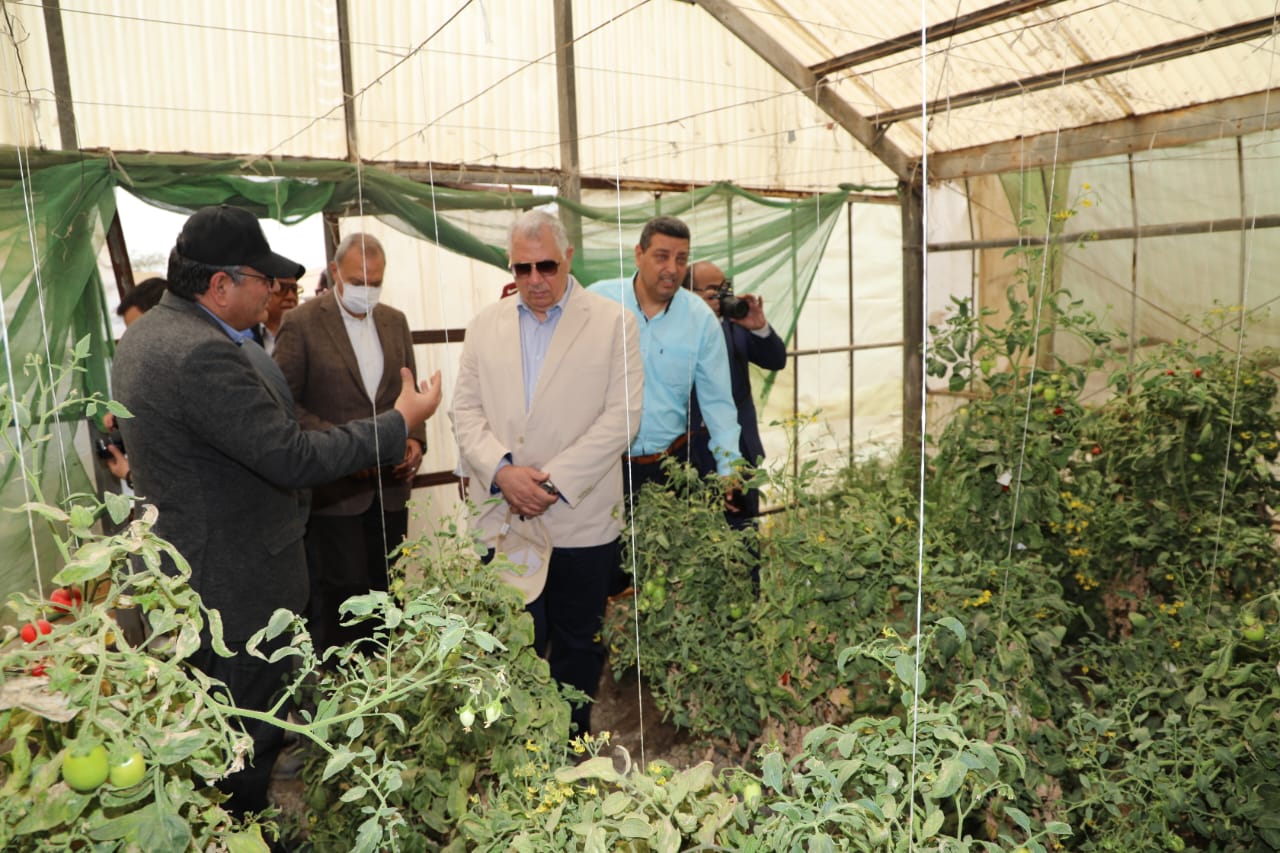 وزير الزراعة ومحافظ القليوبية يتفقدان صوب المشروع القومي لإنتاج التقاوي بمدينة قها