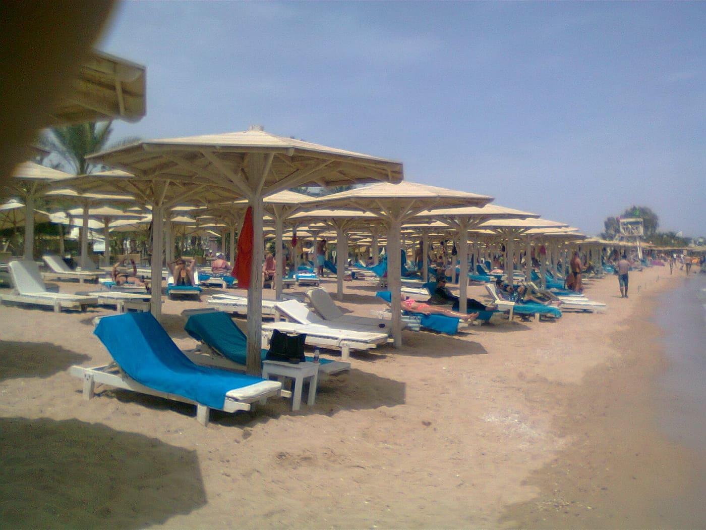 الشواطئ في جنوب سيناء 