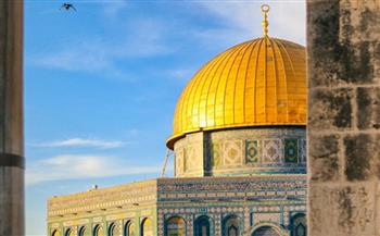  مفتي فلسطين حماية المسجد الأقصى تستوجب جهودا ومواقف وليست بيانات استنكار فقط