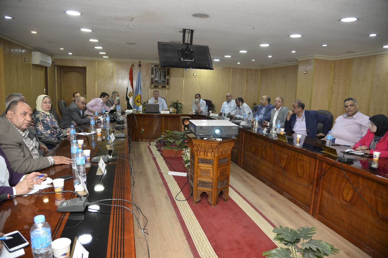 اجتماع المجلس الاقتصادى لبرنامج التنمية المحلية بصعيد مصر