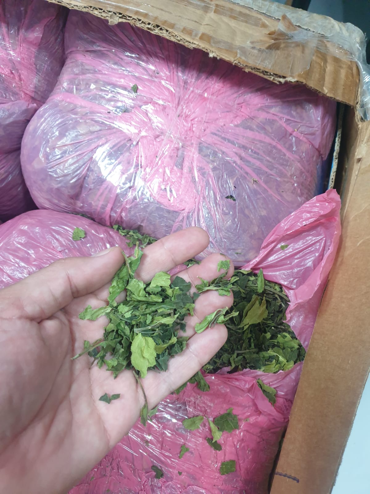 جمارك الطرود البريدية بقرية البضائع في مطار القاهرة تضبط كمية من نبات القات المخدر