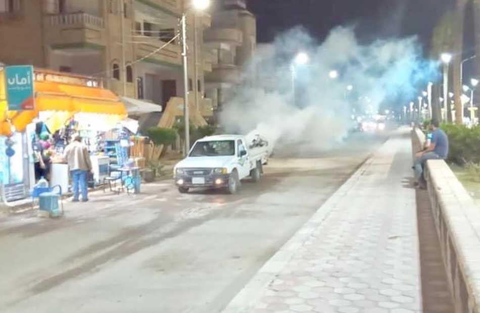 حملات لمكافحة البعوض في مصيف بلطيم بكفر الشيخ | صور 