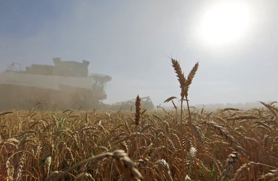 روسيا تنفي تصدير القمح من أوكرانيا