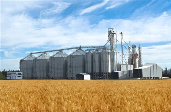 وزير الزراعة الألماني يأمل أن تنتهي الحرب لزيادة صادرات القمح من أوكرانيا