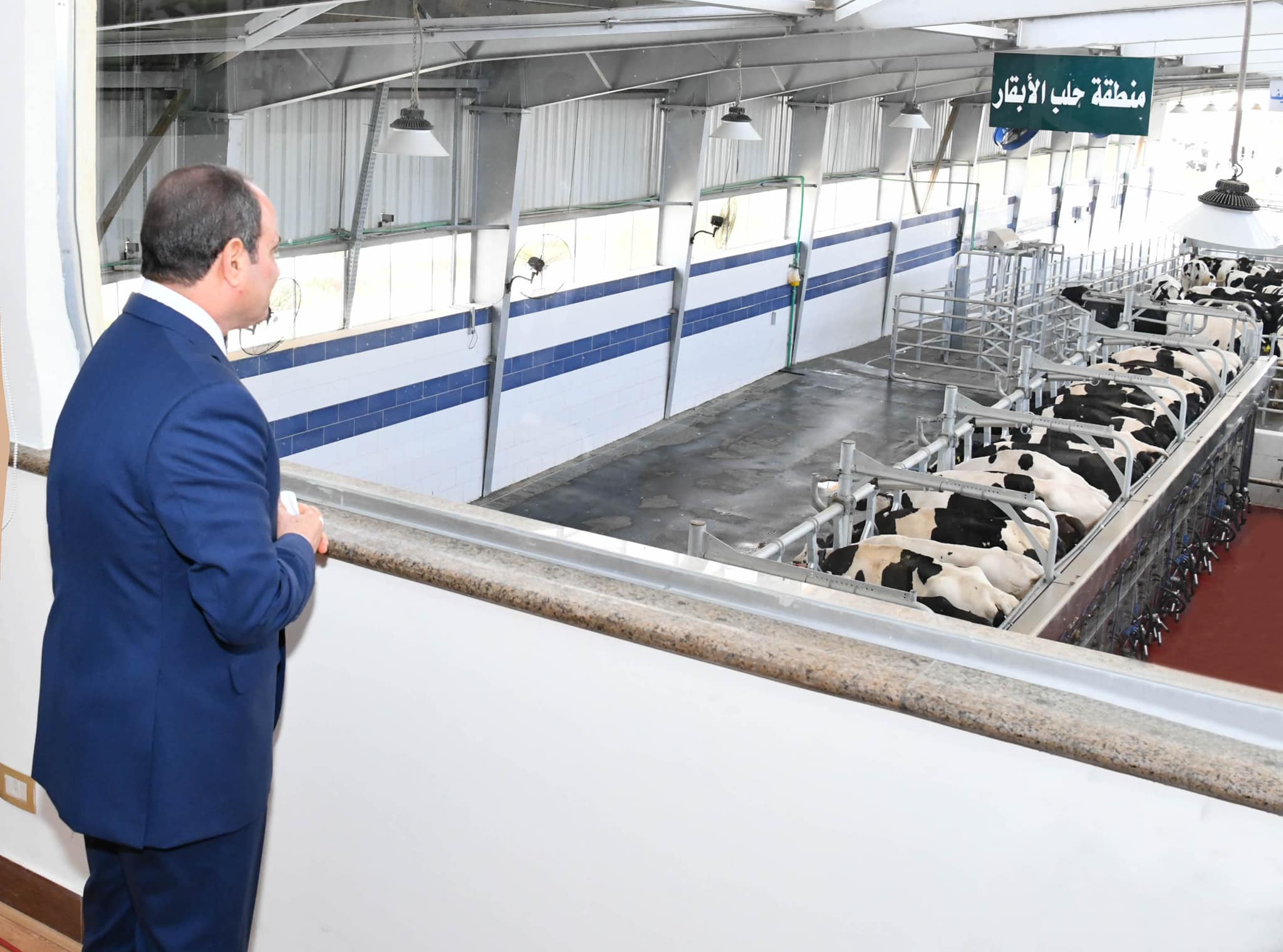 افتتاح الرئيس السيسي اليوم مشروعات الإنتاج الحيواني والألبان والمجازر الآلية بالمنوفية