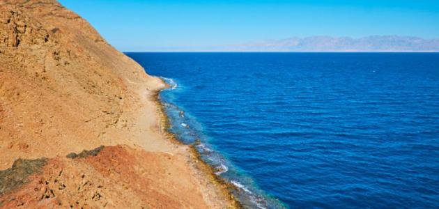 فايز نسبة إشغالات الفنادق بالبحر الأحمر تتراوح ما بين  إلى ٪ من السياحة الخارجية