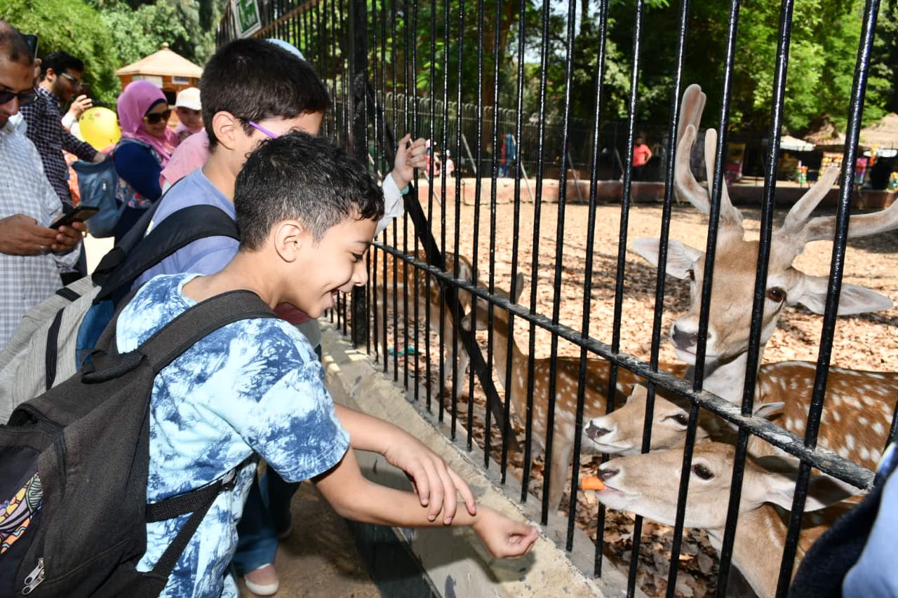 الأوقاف تنظم رحلة لأطفال البرنامج الصيفي إلى حديقة الحيوان