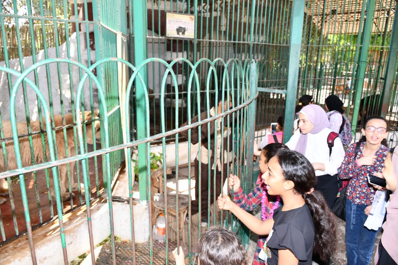 الأوقاف تنظم رحلة لأطفال البرنامج الصيفي إلى حديقة الحيوان
