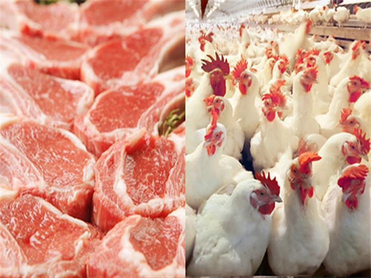 أسعار الدواجن واللحوم في أسواق الغربية اليوم الجمعة
