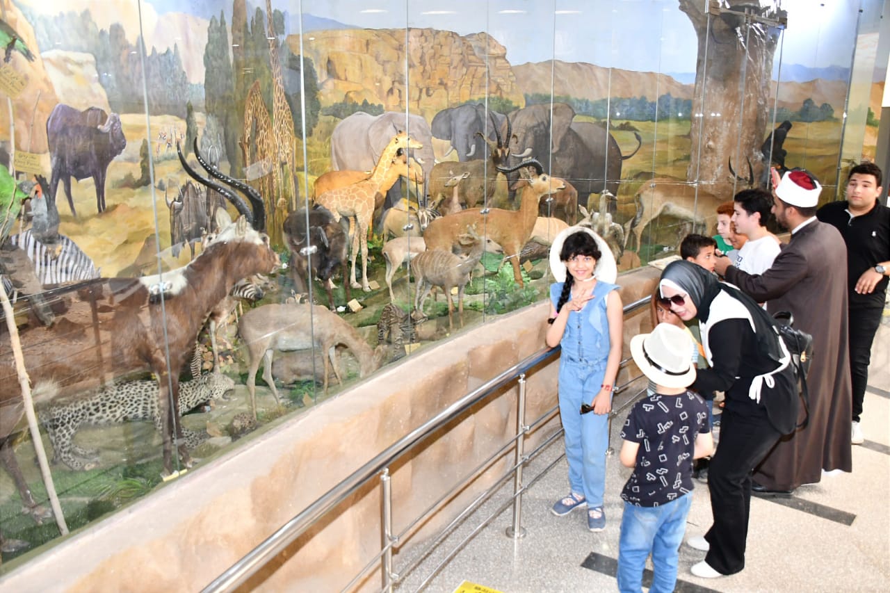 الأوقاف تصطحب أطفال البرنامج الصيفي فى رحلة إلى حديقة الحيوانات