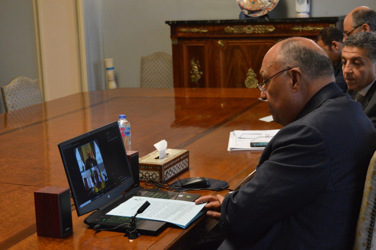وزير الخارجية يجري اتصالًا مرئيًا مع نظيرته التنزانية | صور