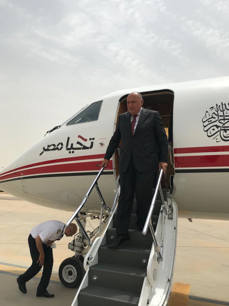 وزيرا خارجية مصر والأردن يصلا العراق