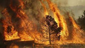 إجلاء أكثر من  شخص بسبب حرائق الغابات في جنوب إسبانيا