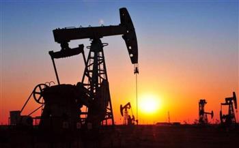  البترول-تكشف-عن-أبرز-مشروعات-المسح-السيزمي-في-البحرين-المتوسط-والأحمر--