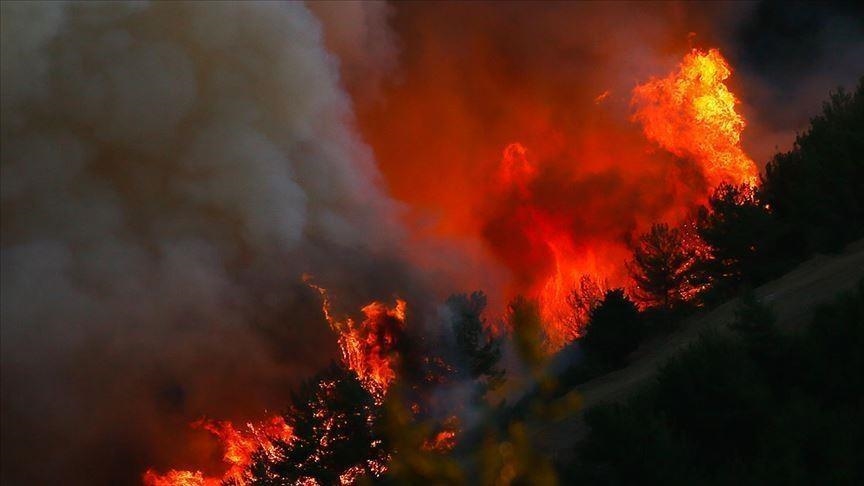حرائق غابات في دولة أوروبية تفجر قنابل عمرها  عام