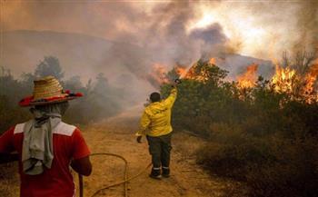 فرق الإطفاء توشك أن تسيطر على حرائق الغابات شمال المغرب