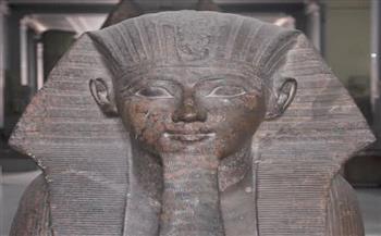 وجه حتشبسوت على أول عملة نقود مصرية حديثة حكاية أقوى ملكات العالم القديم