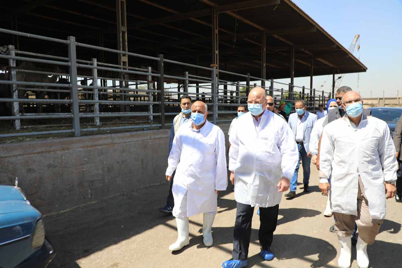 محافظ القاهرة يتفقد مجزر البساتين الآلي ويتابع أسعار اللحوم الحية