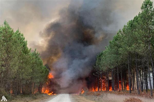 فرنسا تدمير مساحات واسعة من غابات الصنوبر بحرائق هائلة