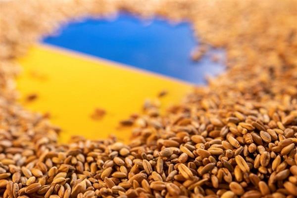 روسيا الحبوب الأوكرانية لم تذهب للدول الإفريقية بل إلى الغرب