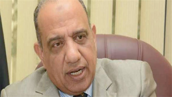 محمود كمال عصمت وزيرًا لقطاع الأعمال العام