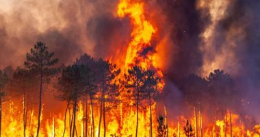 البرتغال وإسبانيا تواجهان صعوبات للسيطرة على حرائق غابات