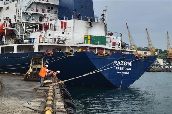 دبلوماسي روسي : السفن المحملة بالحبوب الأوكرانية تتجه إلى دول ليست معرضة لخطر المجاعة