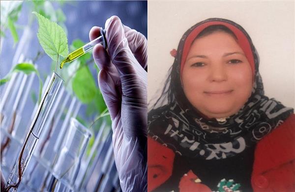 الدكتورة كلارا عزام حاصدة الجوائز الخضراء البيوتكنولوجى سبيل تحسين وإكثار المحاصيل المصرية