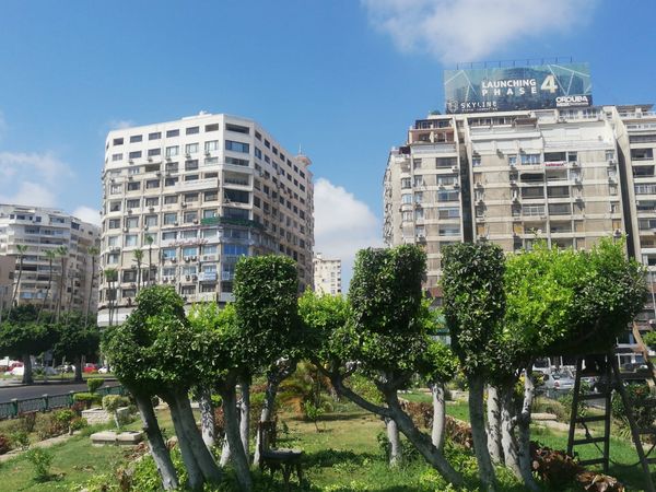 رفع كفاءة وتجميل حديقة ساعة الزهور وسط الإسكندرية|صور - بوابة الأهرام
