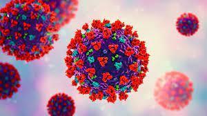 بعد تحذير منظمة الصحة العالمية هل ستحدث طفرة وبائية جديدة لفيروس كورونا خلال الأيام المقبلة؟
