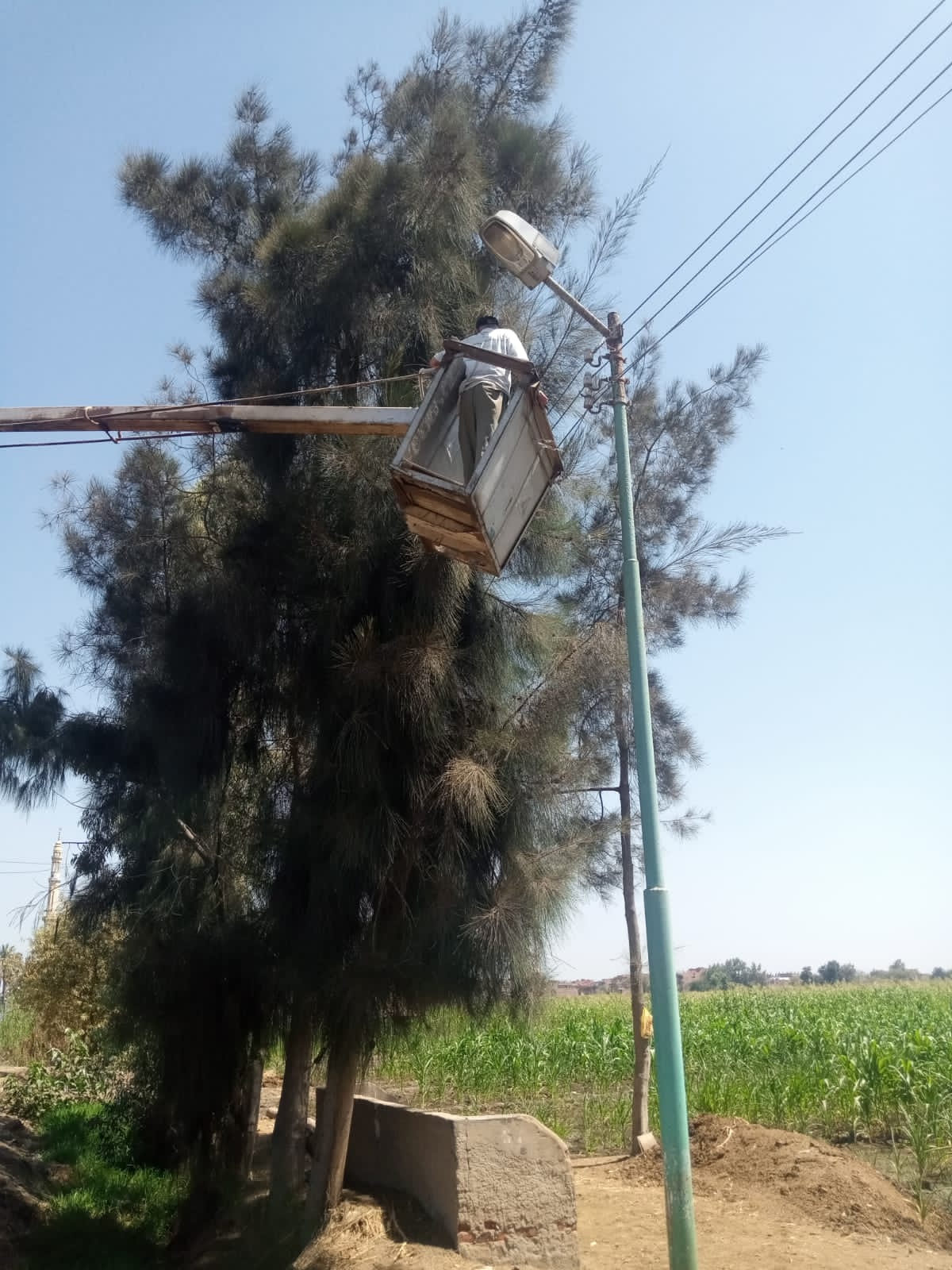 ترشيد الكهرباء بالطرق والشوارع في محافظة الغربية