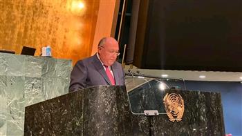   مصر تؤكد استعدادها للتعاون في إنشاء مركز دولي للتخزين وتوريد تجارة الحبوب 