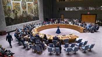   كييف تدعو لاجتماع طارئ لمجلس الأمن ومحاسبة روسيا