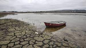 أكاديمي التغيرات المناخية ستؤثر على الأمن الغذائي العالمي وأسعار السلع بسبب جفاف الأنهار