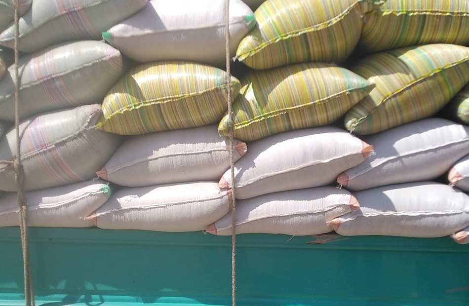 ضبط  طن أرز بعدة مضارب قبل بيعها في السوق السوداء بكفر الشيخ 