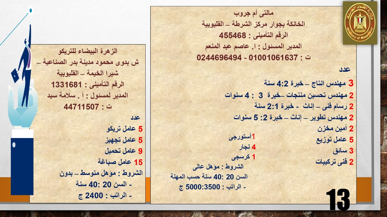 82 شركة خاصة تعلن عن 3149 فرصة عمل في 15 محافظة