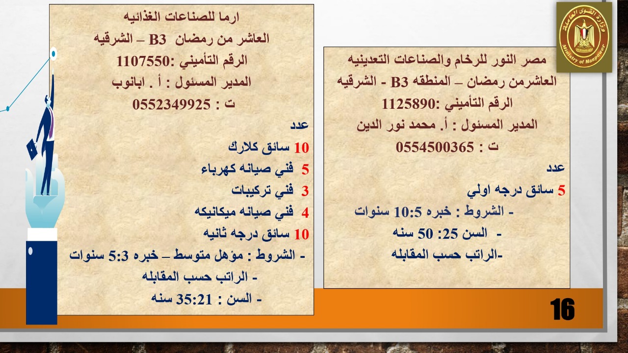 82 شركة خاصة تعلن عن 3149 فرصة عمل في 15 محافظة