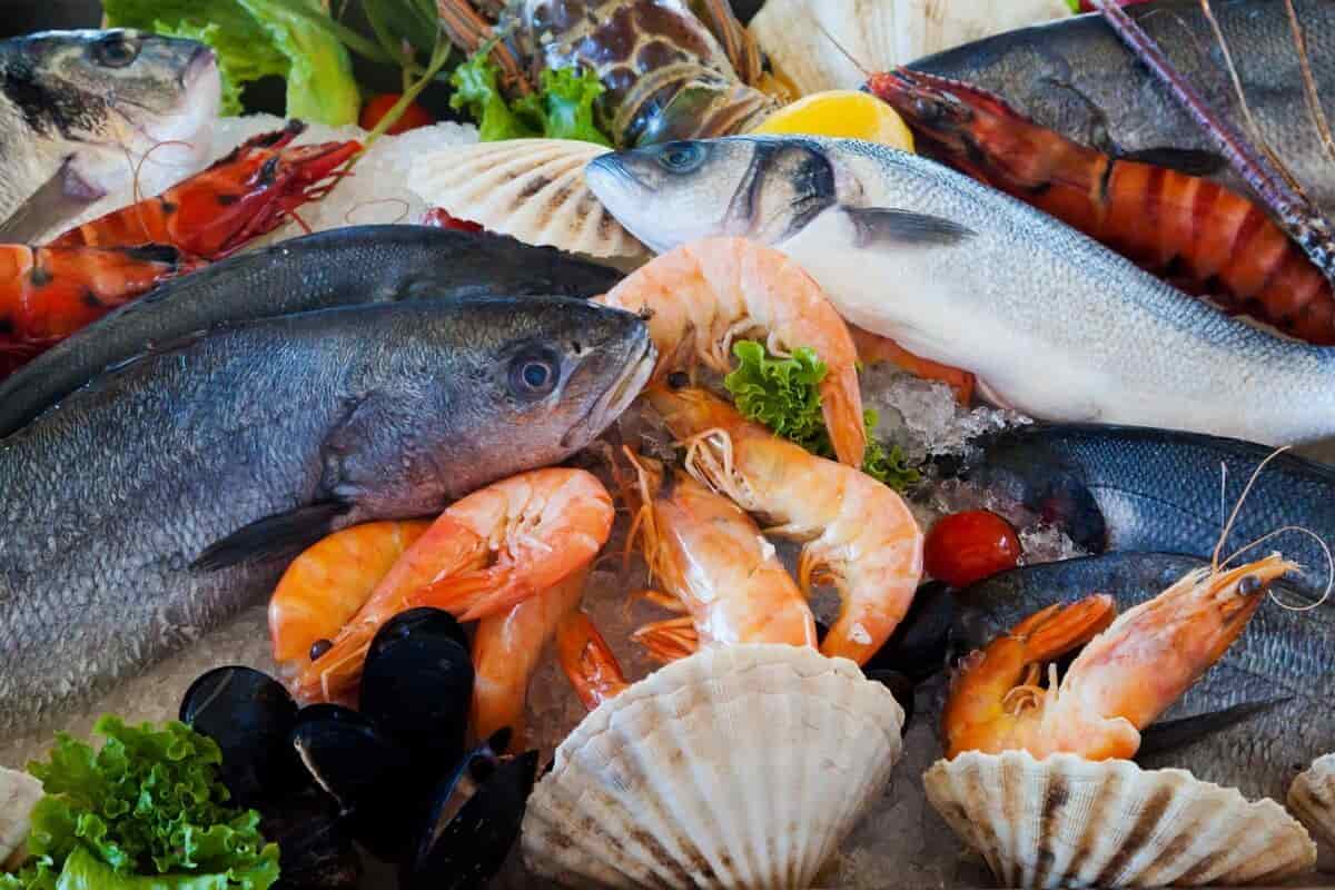 أسعار الأسماك اليوم الجمعة 3 مايو 2024