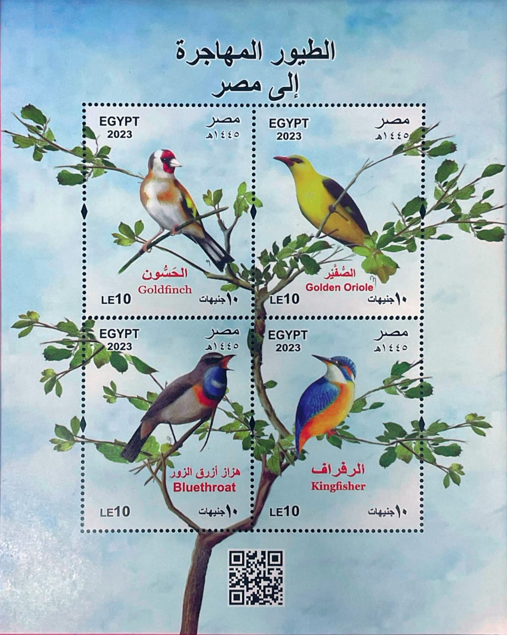الهيئة القومية للبريد تصدر بطاقة تذكارية ترصد فيها ظاهرة  الطيور المهاجرة 