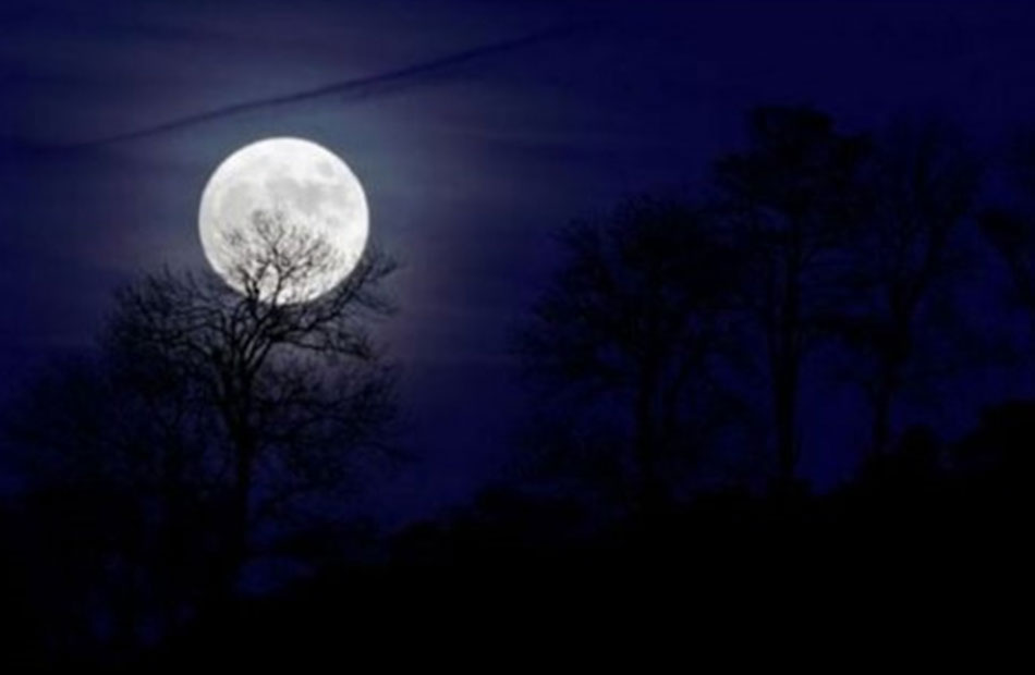 في ظاهرة مشاهدة بالعين المجردة.. غدًا القمر يقترن بـ«قلب العقرب» - بوابة  الأهرام