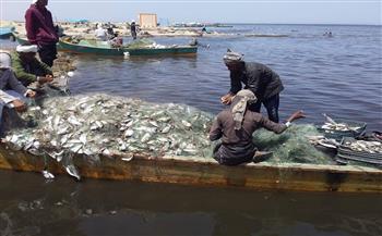   في-سنوات-الإنجاز-كيف-أصبحت-مصر-في-صدارة-الدول-المنتجة-للثروة-السمكية-بمعدل--مليون-طن-سنويًا؟
