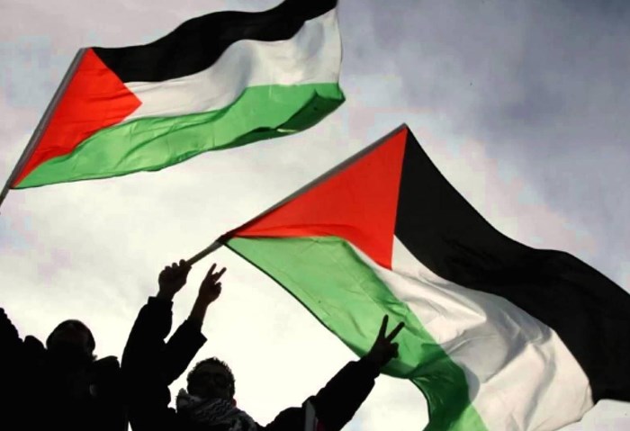اليوم العالمي للتضامن مع الشعب الفلسطيني معاني ودلالات يوم  نوفمبر 