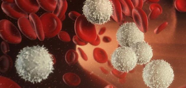 نقص خلايا الدم البيضاء الأسباب والمخاطر الصحية التي يسببها وطرق الوقاية